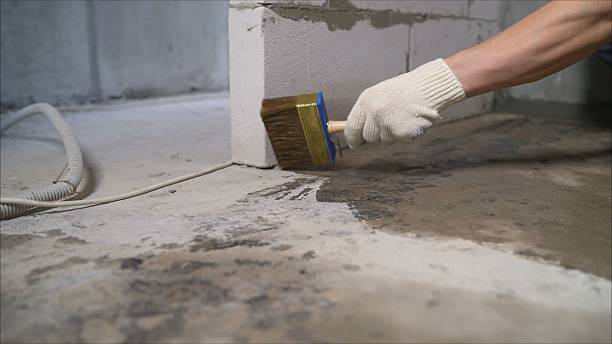 SJ Waterproofing Pros Waterproofing coverage map for Maysville, KY and surrounding area